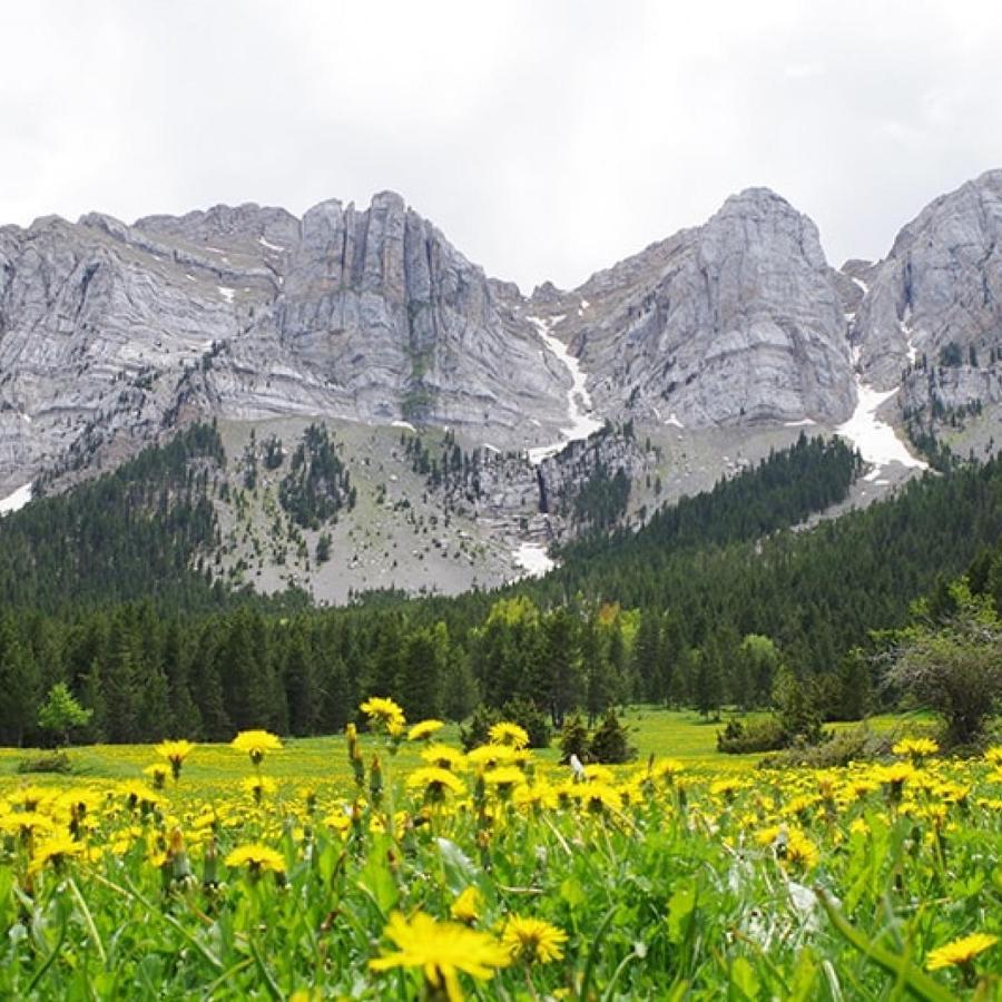Atico Con Encanto En Bellver De Cerdanya Lejlighed Eksteriør billede