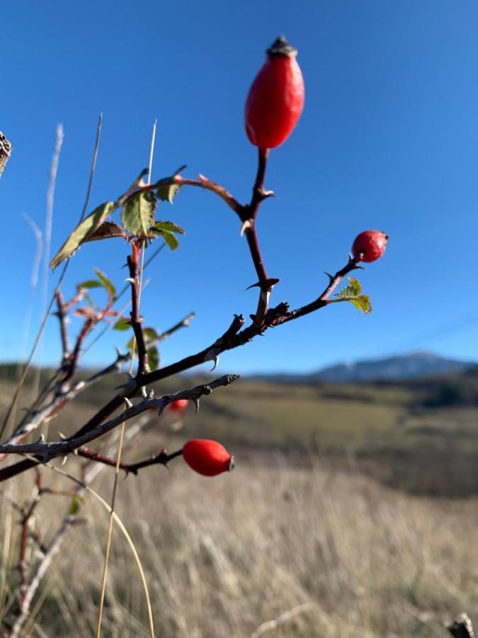 Atico Con Encanto En Bellver De Cerdanya Lejlighed Eksteriør billede